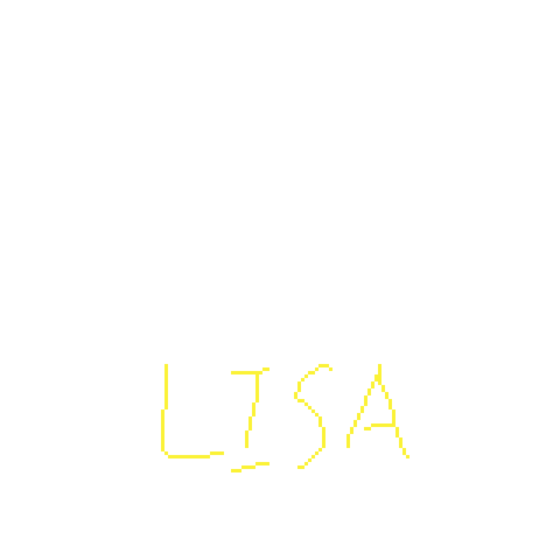 丽萨 LISA